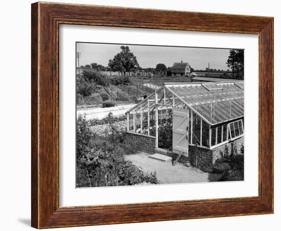 Greenhouse, Fox Ash-null-Framed Photographic Print