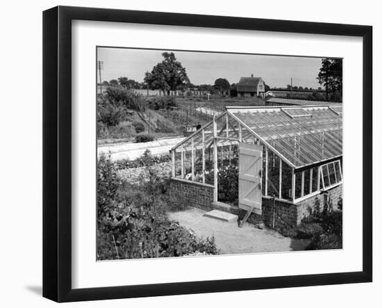 Greenhouse, Fox Ash-null-Framed Photographic Print