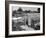 Greenhouse, Fox Ash-null-Framed Photographic Print