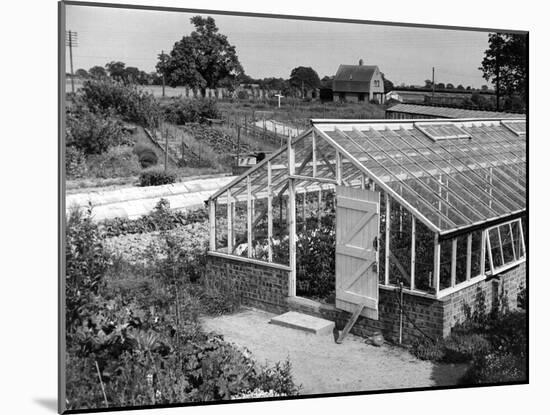 Greenhouse, Fox Ash-null-Mounted Photographic Print