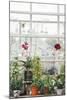 Greenhouse Glamour-Irene Suchocki-Mounted Giclee Print