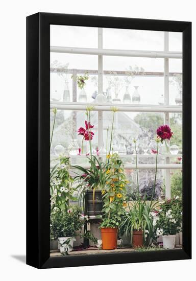 Greenhouse Glamour-Irene Suchocki-Framed Stretched Canvas