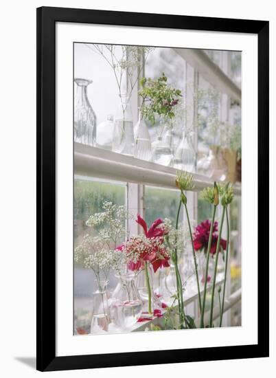 Greenhouse Grandeur-Irene Suchocki-Framed Giclee Print