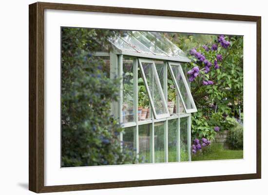 Greenhouse in Back Garden with Open Windows for Ventilation-Nosnibor137-Framed Photographic Print