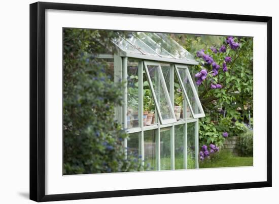 Greenhouse in Back Garden with Open Windows for Ventilation-Nosnibor137-Framed Photographic Print