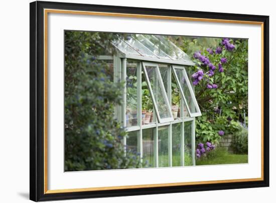 Greenhouse in Back Garden with Open Windows for Ventilation-Nosnibor137-Framed Photographic Print