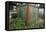 Greenhouse Made from Recycled Plastic Bottles-null-Framed Premier Image Canvas