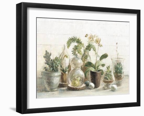 Greenhouse Orchids on Shiplap-Danhui Nai-Framed Art Print