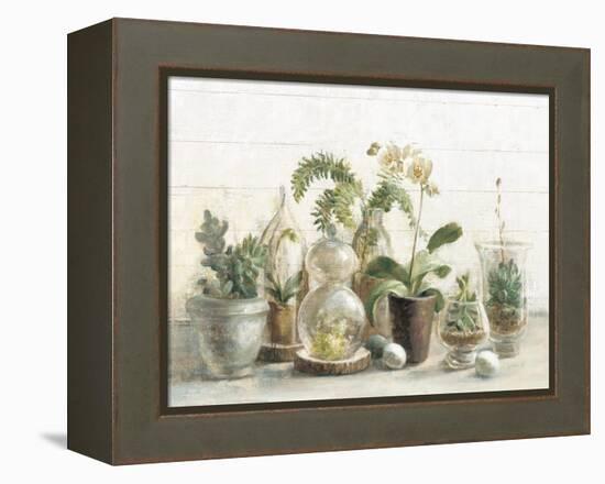 Greenhouse Orchids on Shiplap-Danhui Nai-Framed Stretched Canvas