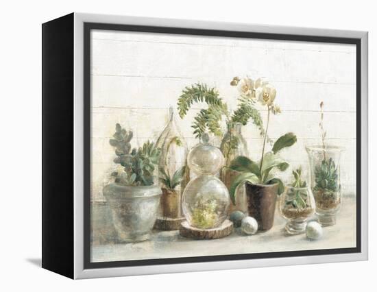 Greenhouse Orchids on Shiplap-Danhui Nai-Framed Stretched Canvas