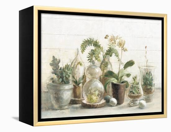 Greenhouse Orchids on Shiplap-Danhui Nai-Framed Stretched Canvas