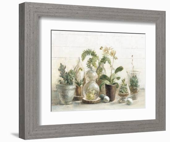 Greenhouse Orchids on Shiplap-Danhui Nai-Framed Premium Giclee Print