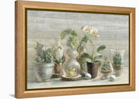 Greenhouse Orchids on Wood-Danhui Nai-Framed Stretched Canvas