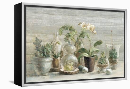 Greenhouse Orchids on Wood-Danhui Nai-Framed Stretched Canvas