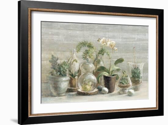 Greenhouse Orchids on Wood-Danhui Nai-Framed Art Print
