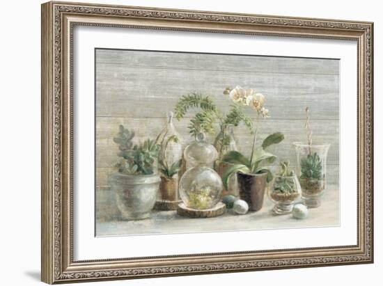 Greenhouse Orchids on Wood-Danhui Nai-Framed Premium Giclee Print