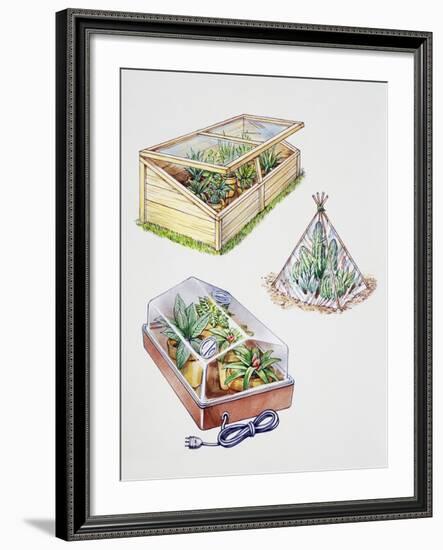 Greenhouse, Plastic Covering for Plants and Plant Propagation Box-null-Framed Giclee Print