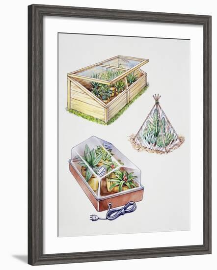 Greenhouse, Plastic Covering for Plants and Plant Propagation Box-null-Framed Giclee Print