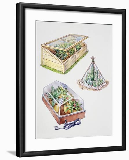 Greenhouse, Plastic Covering for Plants and Plant Propagation Box-null-Framed Giclee Print