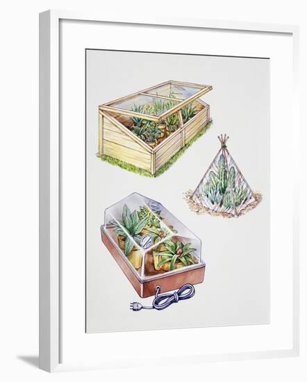 Greenhouse, Plastic Covering for Plants and Plant Propagation Box-null-Framed Giclee Print