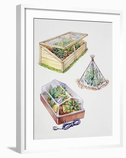 Greenhouse, Plastic Covering for Plants and Plant Propagation Box-null-Framed Giclee Print