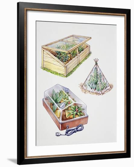 Greenhouse, Plastic Covering for Plants and Plant Propagation Box-null-Framed Giclee Print