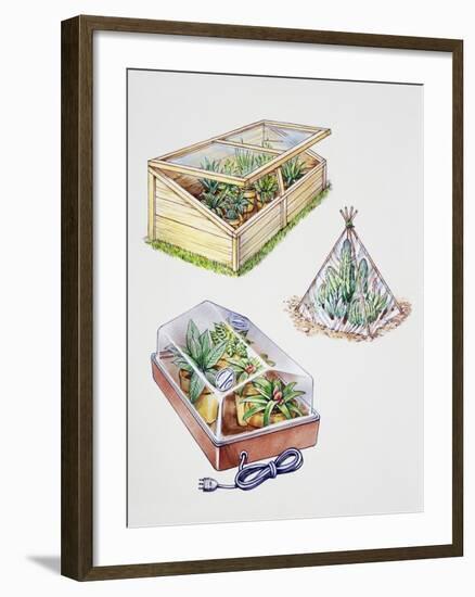 Greenhouse, Plastic Covering for Plants and Plant Propagation Box-null-Framed Giclee Print