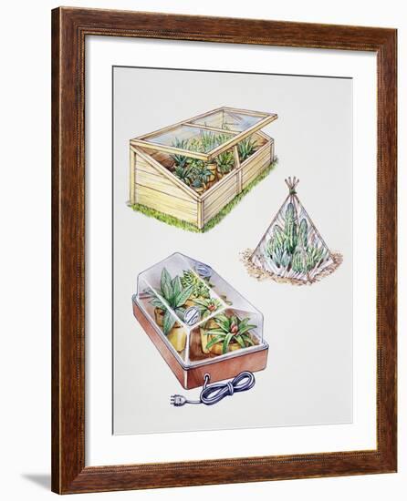 Greenhouse, Plastic Covering for Plants and Plant Propagation Box-null-Framed Giclee Print