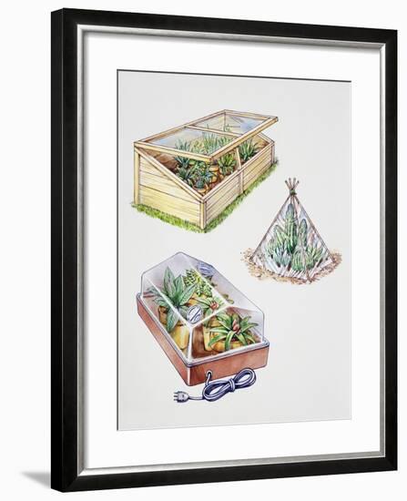 Greenhouse, Plastic Covering for Plants and Plant Propagation Box-null-Framed Giclee Print