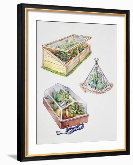 Greenhouse, Plastic Covering for Plants and Plant Propagation Box-null-Framed Giclee Print