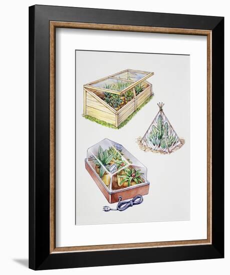 Greenhouse, Plastic Covering for Plants and Plant Propagation Box-null-Framed Giclee Print