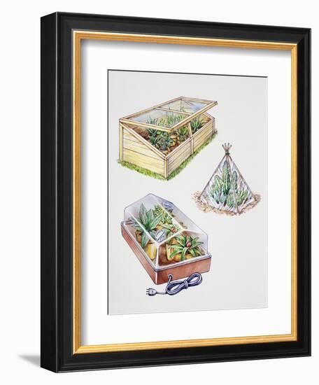 Greenhouse, Plastic Covering for Plants and Plant Propagation Box-null-Framed Giclee Print