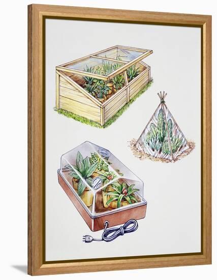 Greenhouse, Plastic Covering for Plants and Plant Propagation Box-null-Framed Premier Image Canvas