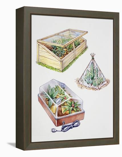 Greenhouse, Plastic Covering for Plants and Plant Propagation Box-null-Framed Premier Image Canvas