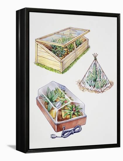 Greenhouse, Plastic Covering for Plants and Plant Propagation Box-null-Framed Premier Image Canvas