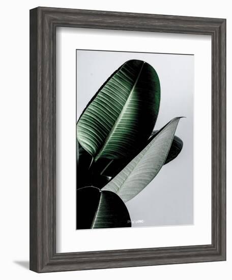 Greenish-PhotoINC Studio-Framed Art Print