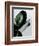 Greenish-PhotoINC Studio-Framed Art Print