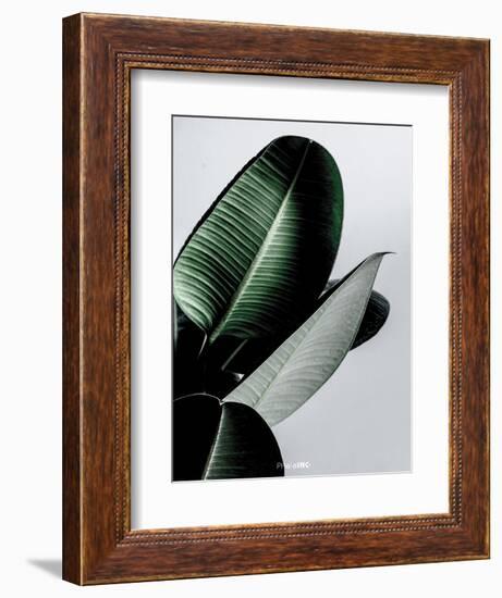 Greenish-PhotoINC Studio-Framed Art Print