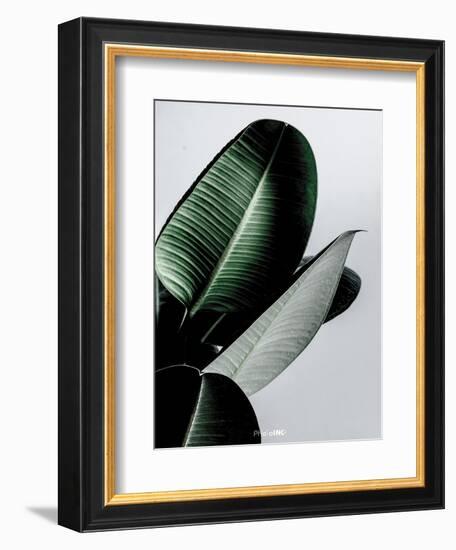 Greenish-PhotoINC Studio-Framed Art Print