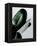 Greenish-PhotoINC Studio-Framed Stretched Canvas