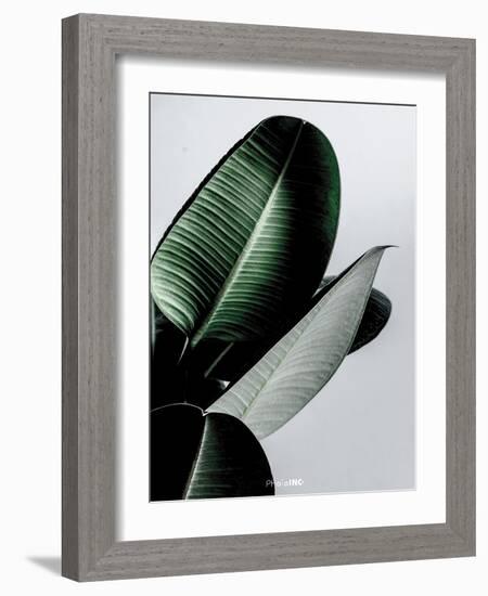 Greenish-PhotoINC Studio-Framed Art Print