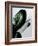 Greenish-PhotoINC Studio-Framed Art Print