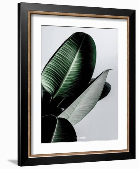 Greenish-PhotoINC Studio-Framed Art Print