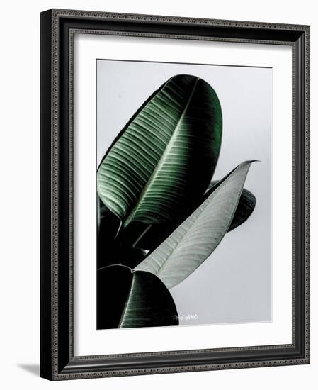 Greenish-PhotoINC Studio-Framed Art Print