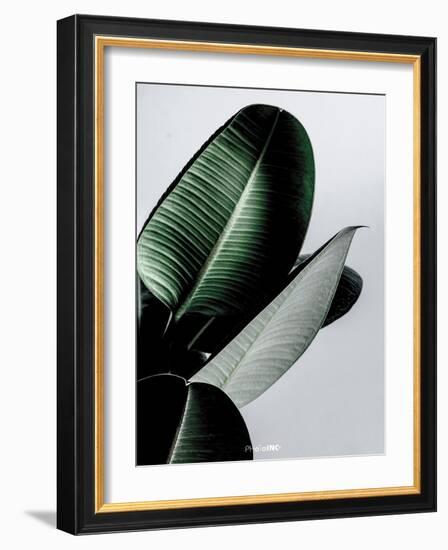 Greenish-PhotoINC Studio-Framed Art Print