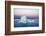 Greenland, Discovery Bay, (Disko Bay) floating icebergs from the Ilulissat Kangerlua Glacier also k-Miva Stock-Framed Photographic Print