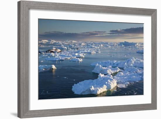 Greenland, Disko Bay, Ilulissat, Elevated View of Floating Ice-Walter Bibikow-Framed Photographic Print