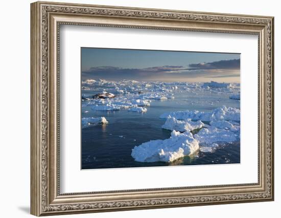 Greenland, Disko Bay, Ilulissat, Elevated View of Floating Ice-Walter Bibikow-Framed Photographic Print