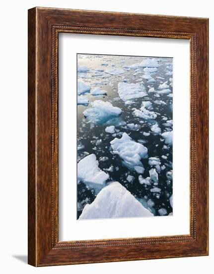 Greenland, Disko Bay, Ilulissat, Floating Ice at Sunset-Walter Bibikow-Framed Photographic Print