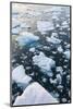 Greenland, Disko Bay, Ilulissat, Floating Ice at Sunset-Walter Bibikow-Mounted Photographic Print